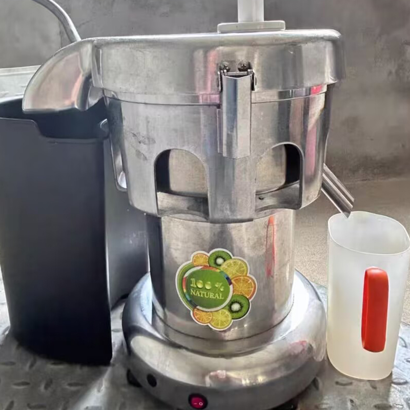 Juicer - Wyciskarki elektryczne 220V, profesjonalna wyciskarka wolnoobrotowa