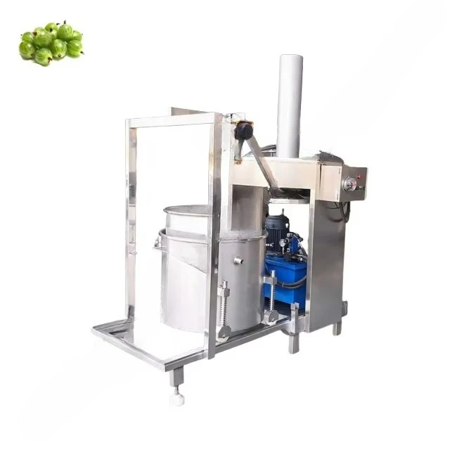 Prasa hydrauliczna przemysłowa – Juicer recenzja i cena